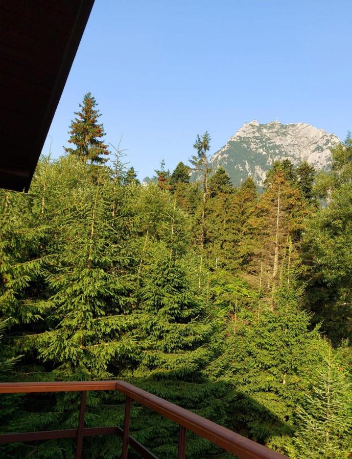 Villa C House Buşteni Esterno foto